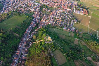 Vue oblique de Vue de la ville depuis le sud-est avec Wachtenburg (ruine du château de Wachenheim) entouré de rangées de vignes à Wachenheim an der Weinstraße dans le département Rhénanie-Palatinat, Allemagne
