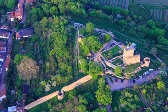 Vue aérienne de Mur défensif du Wachtenburg (ruine du « château de Wachenheim ») à Wachenheim an der Weinstraße dans le département Rhénanie-Palatinat, Allemagne