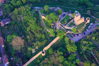 Vue aérienne de Mur défensif du Wachtenburg (ruine du « château de Wachenheim ») à Wachenheim an der Weinstraße dans le département Rhénanie-Palatinat, Allemagne