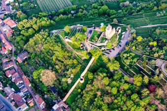 Vue aérienne de Ancien château de Wachtenburg (ruines du château de Wachenheim) à Wachenheim an der Weinstraße dans le département Rhénanie-Palatinat, Allemagne