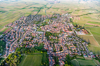 Vue aérienne de Vue du village en bordure des champs agricoles et des terres agricoles à Wachenheim an der Weinstraße dans le département Rhénanie-Palatinat, Allemagne