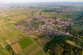 Vue aérienne de Vue du village en bordure des champs agricoles et des terres agricoles à Wachenheim an der Weinstraße dans le département Rhénanie-Palatinat, Allemagne