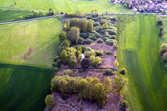 Vue aérienne de Île arborée sur un champ à Durrenbach à Walbourg dans le département Bas Rhin, France