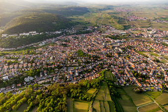Vue aérienne de Du sud à le quartier Seebach in Bad Dürkheim dans le département Rhénanie-Palatinat, Allemagne