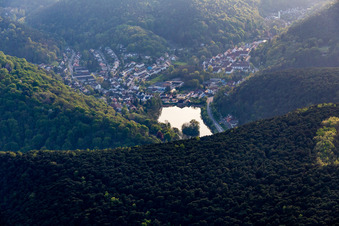 Vue aérienne de Herzogweiher à le quartier Grethen in Bad Dürkheim dans le département Rhénanie-Palatinat, Allemagne