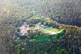 Vue aérienne de Restaurant forestier en plein air Schützenhaus à Bad Dürkheim dans le département Rhénanie-Palatinat, Allemagne