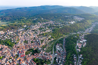 Vue aérienne de Quatre pages annuelles de vignerons à le quartier Seebach in Bad Dürkheim dans le département Rhénanie-Palatinat, Allemagne