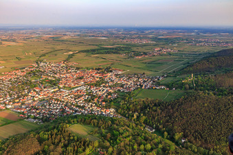 Vue aérienne de Vue de la ville depuis le nord avec Wachtenburg (ruines du château de Wachenheim) à Wachenheim an der Weinstraße dans le département Rhénanie-Palatinat, Allemagne