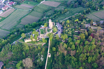 Photographie aérienne de Ancien château de Wachtenburg (ruines du château de Wachenheim) à Wachenheim an der Weinstraße dans le département Rhénanie-Palatinat, Allemagne