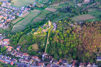 Photographie aérienne de Mur défensif du Wachtenburg (ruine du « château de Wachenheim ») à Wachenheim an der Weinstraße dans le département Rhénanie-Palatinat, Allemagne