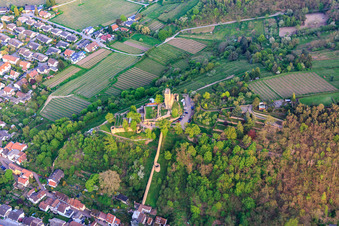 Vue oblique de Mur défensif du Wachtenburg (ruine du « château de Wachenheim ») à Wachenheim an der Weinstraße dans le département Rhénanie-Palatinat, Allemagne