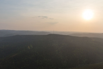 Vue aérienne de Vins à le quartier Haardt in Neustadt an der Weinstraße dans le département Rhénanie-Palatinat, Allemagne