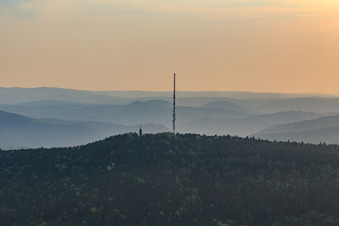 Vue aérienne de Mât de transmission sur le Weinbiet à le quartier Haardt in Neustadt an der Weinstraße dans le département Rhénanie-Palatinat, Allemagne
