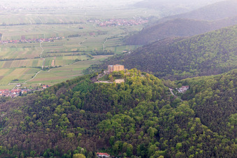 Vue aérienne de Hambach, Château de Hambach à le quartier Diedesfeld in Neustadt an der Weinstraße dans le département Rhénanie-Palatinat, Allemagne