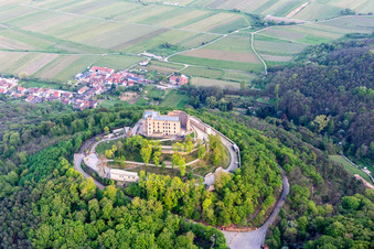 Vue d'oiseau de Quartier Diedesfeld in Neustadt an der Weinstraße dans le département Rhénanie-Palatinat, Allemagne