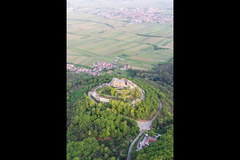 Quartier Diedesfeld in Neustadt an der Weinstraße dans le département Rhénanie-Palatinat, Allemagne vue du ciel