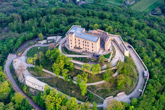 Image drone de Quartier Diedesfeld in Neustadt an der Weinstraße dans le département Rhénanie-Palatinat, Allemagne