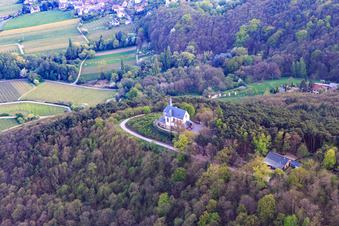Vue aérienne de Chapelle Sainte-Anne vue du nord à Burrweiler dans le département Rhénanie-Palatinat, Allemagne