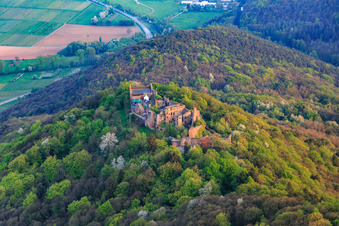 Vue aérienne de Ruines du château de Madenburg sur une montagne aux couleurs automnales dans la forêt du Palatinat depuis le nord à Eschbach dans le département Rhénanie-Palatinat, Allemagne