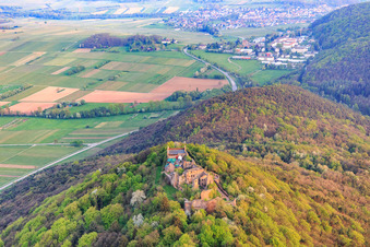 Photographie aérienne de Ruines du château de Madenburg sur une montagne aux couleurs automnales dans la forêt du Palatinat depuis le nord à Eschbach dans le département Rhénanie-Palatinat, Allemagne