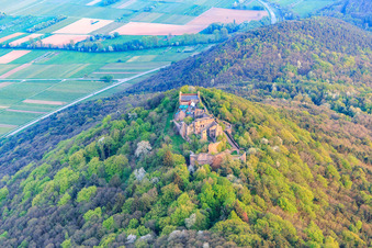 Vue oblique de Ruines du château de Madenburg sur une montagne aux couleurs automnales dans la forêt du Palatinat depuis le nord à Eschbach dans le département Rhénanie-Palatinat, Allemagne