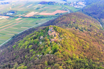 Ruines du château de Madenburg sur une montagne aux couleurs automnales dans la forêt du Palatinat depuis le nord à Eschbach dans le département Rhénanie-Palatinat, Allemagne d'en haut
