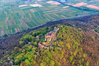 Ruines du château de Madenburg sur une montagne aux couleurs automnales dans la forêt du Palatinat depuis le nord à Eschbach dans le département Rhénanie-Palatinat, Allemagne depuis l'avion