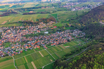 Photographie aérienne de Vue du nord à Klingenmünster dans le département Rhénanie-Palatinat, Allemagne