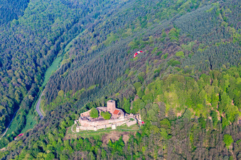 Vue aérienne de Ruines de Landeck avec parapente à Klingenmünster dans le département Rhénanie-Palatinat, Allemagne
