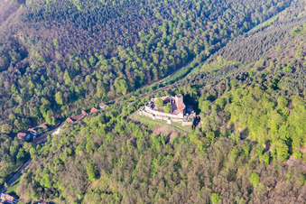 Vue aérienne de Château de Landeck à Klingenmünster dans le département Rhénanie-Palatinat, Allemagne