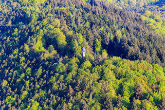 Vue aérienne de Martinsturm avec point de vue Wasgaublick à Klingenmünster dans le département Rhénanie-Palatinat, Allemagne