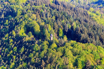 Photographie aérienne de Martinsturm avec point de vue Wasgaublick à Klingenmünster dans le département Rhénanie-Palatinat, Allemagne