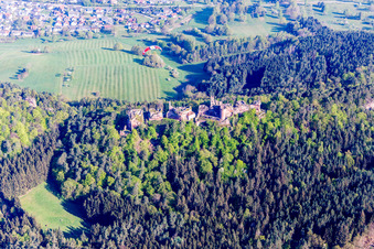 Vue oblique de Ruines d'Altdahn à Dahn dans le département Rhénanie-Palatinat, Allemagne