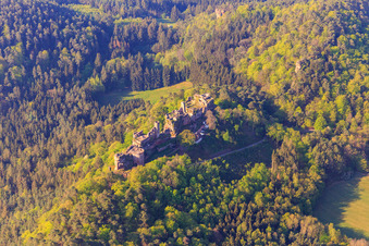 Vue aérienne de Ruines du château de Tanstein à Dahn dans le département Rhénanie-Palatinat, Allemagne