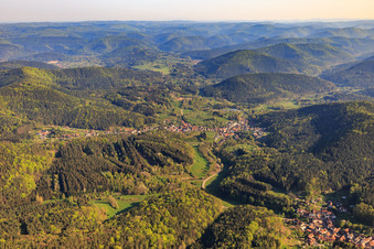 Vue aérienne de Aperçu du village dans la forêt du Palatinat à Schwanheim dans le département Rhénanie-Palatinat, Allemagne