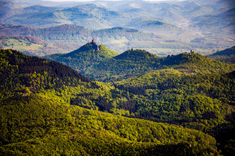 Vue aérienne de Châteaux de Trifels, Scharfeneck et Anebos au-dessus de la forêt du Palatinat à Annweiler am Trifels dans le département Rhénanie-Palatinat, Allemagne