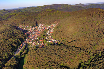 Photographie aérienne de Village caché dans la forêt du Palatinat vu de l'est à Dörrenbach dans le département Rhénanie-Palatinat, Allemagne