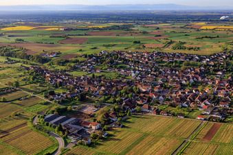 Vue aérienne de Village viticole sur la route des vins allemande du nord-ouest à Oberotterbach dans le département Rhénanie-Palatinat, Allemagne