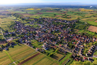 Vue aérienne de Village viticole sur la route des vins allemande du nord-ouest à Oberotterbach dans le département Rhénanie-Palatinat, Allemagne