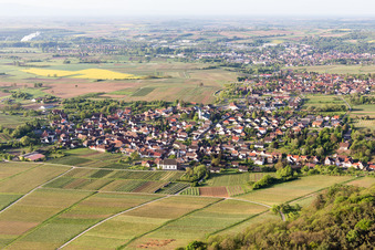 Quartier Rechtenbach in Schweigen-Rechtenbach dans le département Rhénanie-Palatinat, Allemagne du point de vue du drone