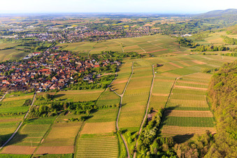 Vue aérienne de Vignoble de Sonnenberg en partie sur territoire français à le quartier Schweigen in Schweigen-Rechtenbach dans le département Rhénanie-Palatinat, Allemagne
