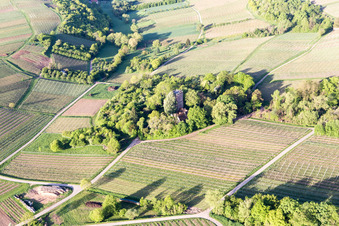 Château Saint Paul sur le Sonnenberg à Wissembourg dans le département Bas Rhin, France d'en haut