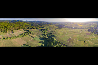Vue aérienne de Panorama - Paysage viticole en perspective de la région viticole de Sonnenberg à Wissembourg dans le département Bas Rhin, France