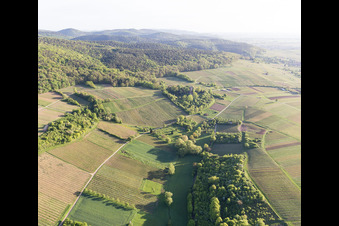 Vignoble de Sonnenberg à Wissembourg dans le département Bas Rhin, France hors des airs
