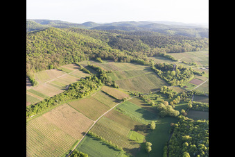 Vignoble de Sonnenberg à Wissembourg dans le département Bas Rhin, France vue d'en haut