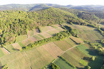 Vignoble de Sonnenberg à Wissembourg dans le département Bas Rhin, France depuis l'avion