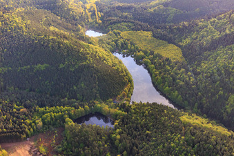 Vue aérienne de Seehof-Weiher / Portzbach avec kiosque à Erlenbach bei Dahn dans le département Rhénanie-Palatinat, Allemagne
