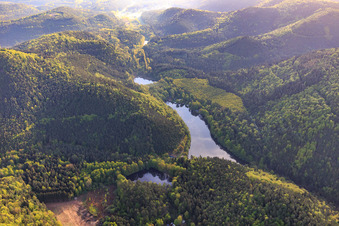 Vue aérienne de Seehof-Weiher / Portzbach avec kiosque à Erlenbach bei Dahn dans le département Rhénanie-Palatinat, Allemagne