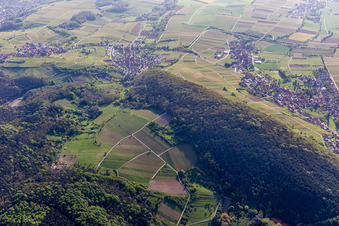 Vue aérienne de Haardtrand Wolfsteig à Pleisweiler-Oberhofen dans le département Rhénanie-Palatinat, Allemagne