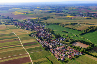 Vue aérienne de Vue du village depuis l'ouest à Niederhorbach dans le département Rhénanie-Palatinat, Allemagne